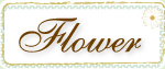 Flower Lesson 